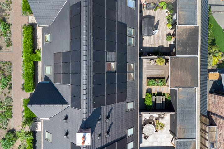 Foto 43 van Regenboogforel 3