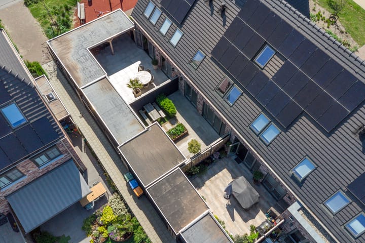 Foto 44 van Regenboogforel 3