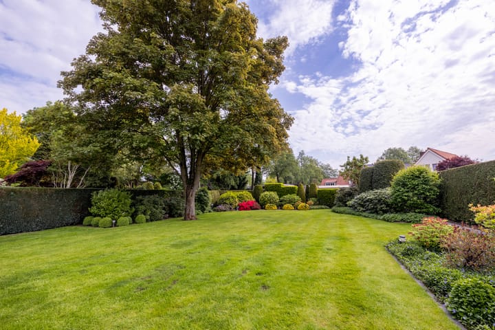 Foto 7 van De Delle 66