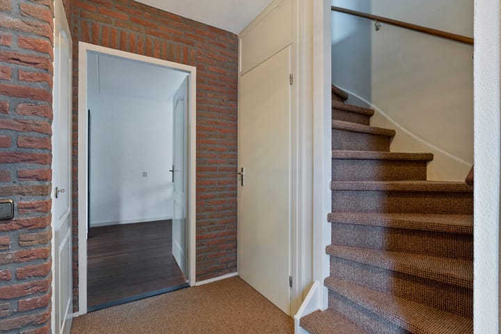 Foto 3 van Fluitekruid 14