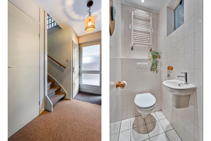 Foto 4 van Fluitekruid 14