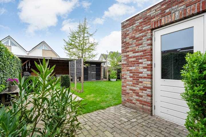 Foto 37 van Fluitekruid 14