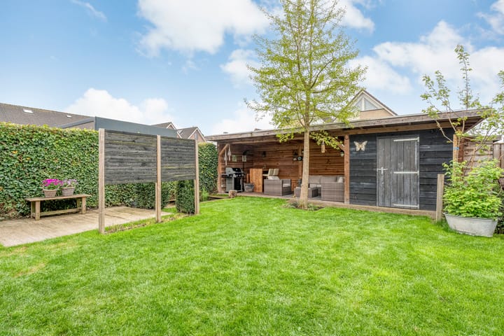 Foto 38 van Fluitekruid 14