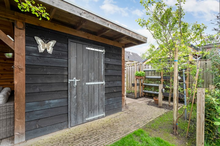 Foto 42 van Fluitekruid 14