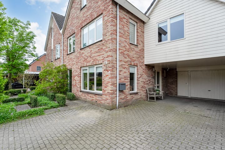 Foto 47 van Fluitekruid 14