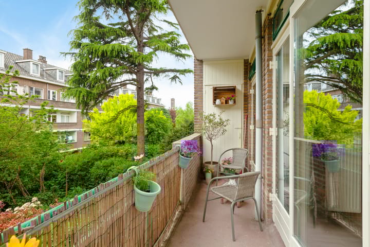 Foto 2 van De Carpentierstraat 133