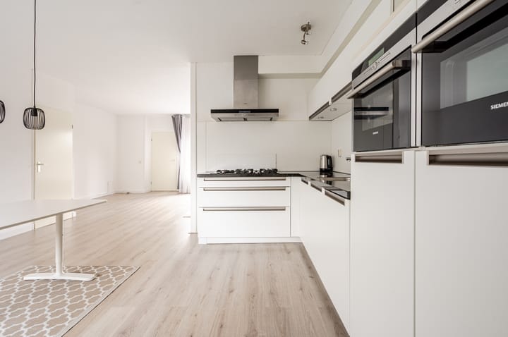 Foto 9 van Galjoen 24 14