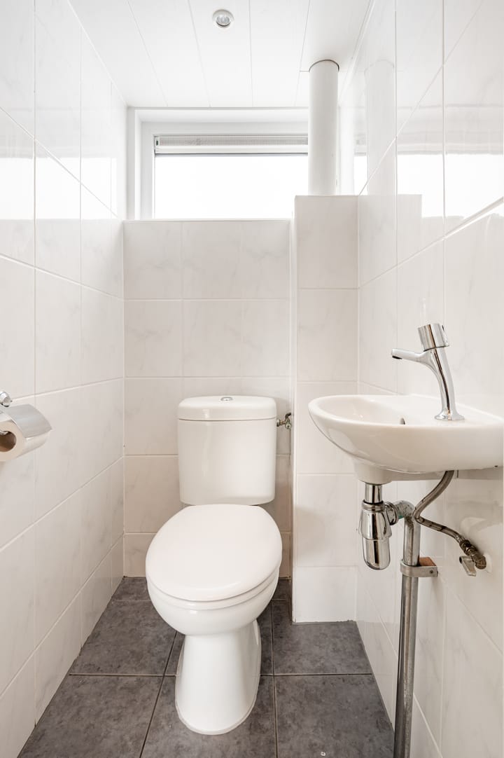 Foto 15 van Galjoen 24 14