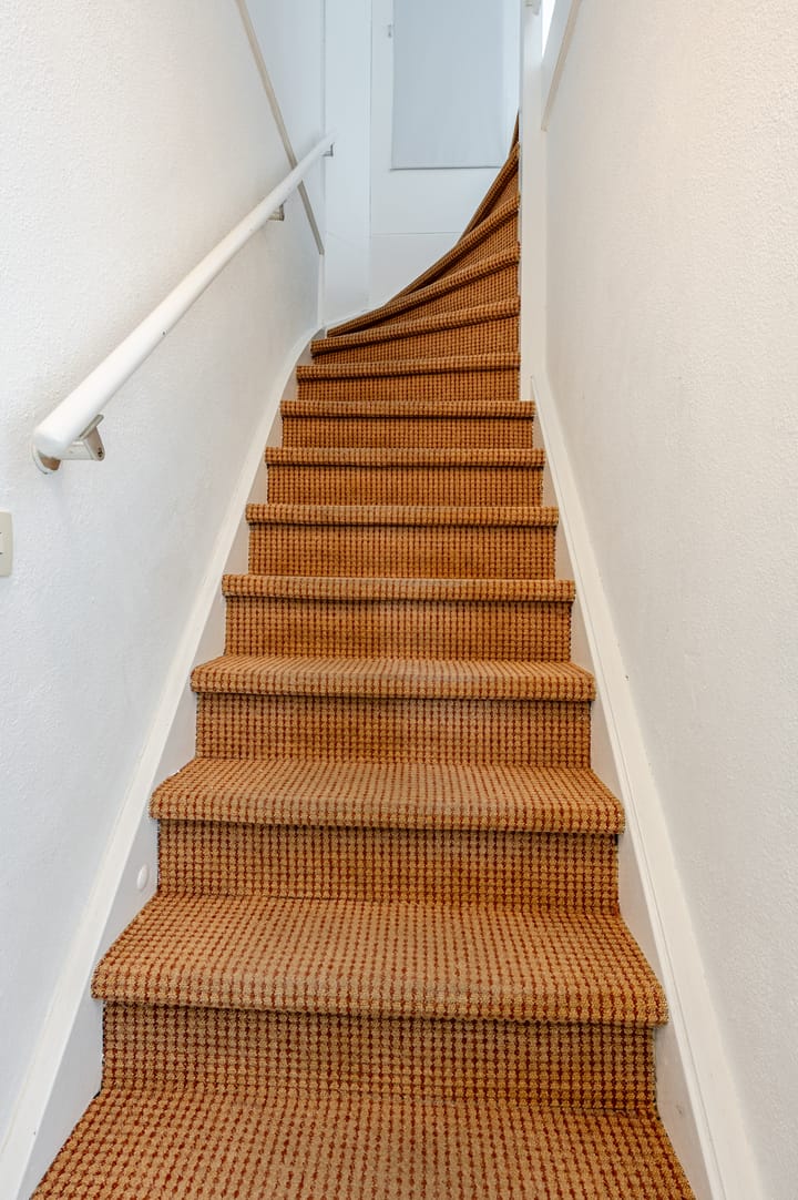 Foto 16 van Galjoen 24 14