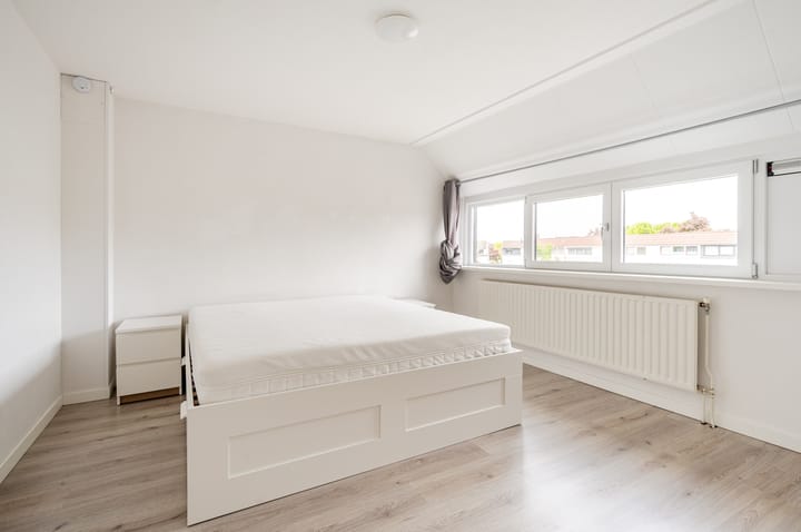 Foto 21 van Galjoen 24 14