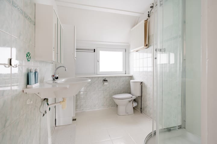 Foto 25 van Galjoen 24 14