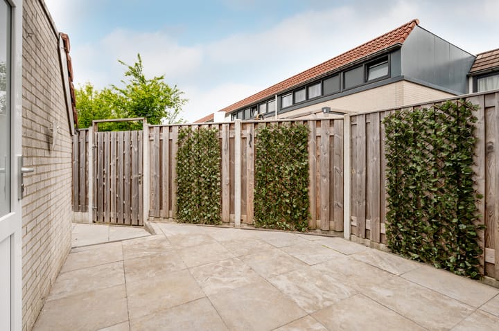 Foto 27 van Galjoen 24 14