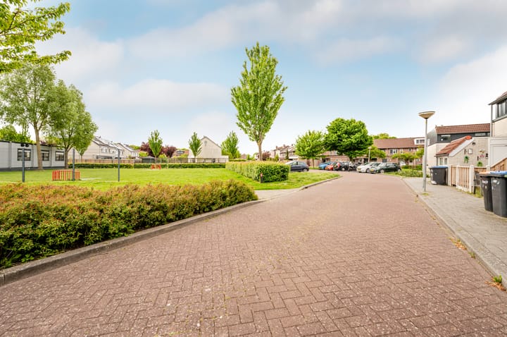 Foto 36 van Galjoen 24 14