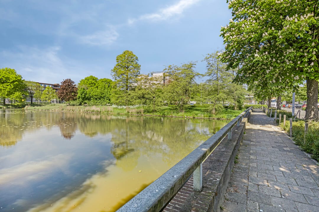 Foto 26 van Hanzestraat 67