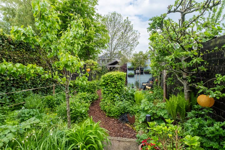 Foto 65 van Dwarsnoard 41