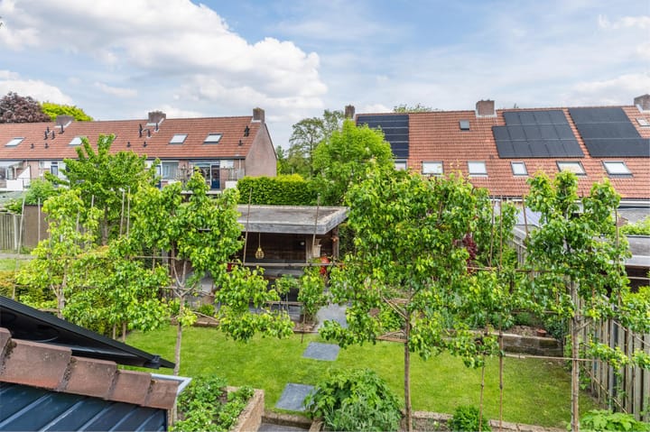 Photo 38 of Boomkamp 17