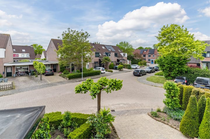 Photo 46 of Boomkamp 17