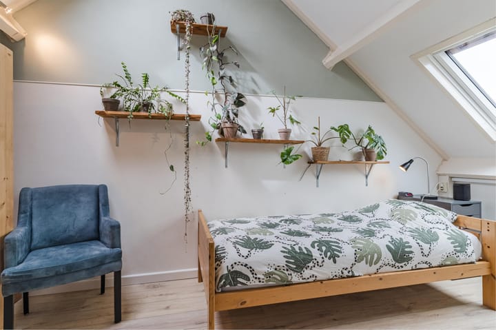 Photo 55 of Boomkamp 17