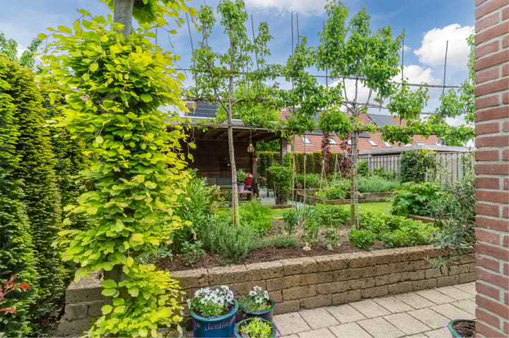 Photo 64 of Boomkamp 17