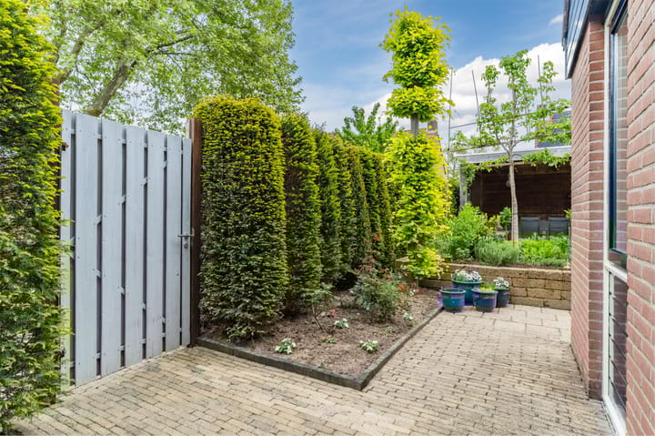 Photo 62 of Boomkamp 17