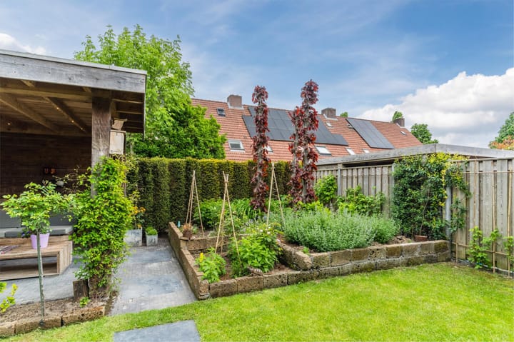 Photo 67 of Boomkamp 17