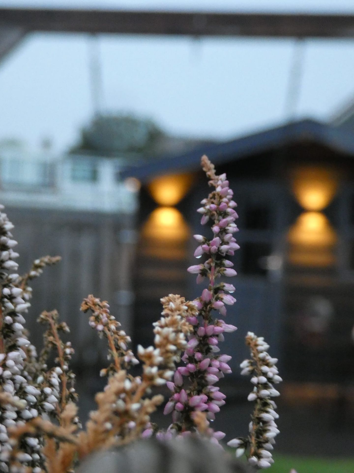 Foto 40 van De Kuil 26