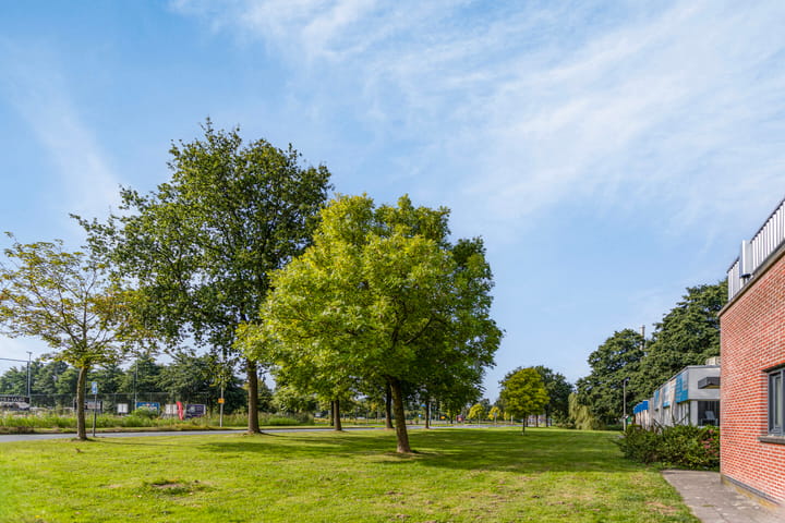 Foto 41 van De Kuil 26