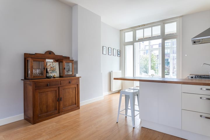 Foto 11 van Van Loostraat 92