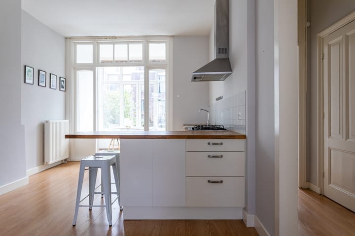 Foto 12 van Van Loostraat 92