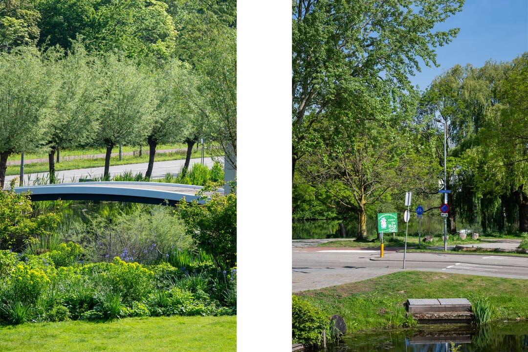 Foto 8 van Emiliahof 19