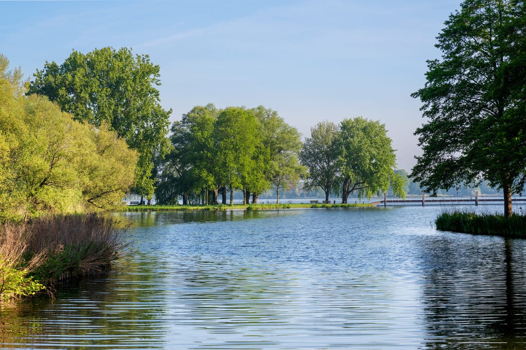 Foto 32 van Emiliahof 19