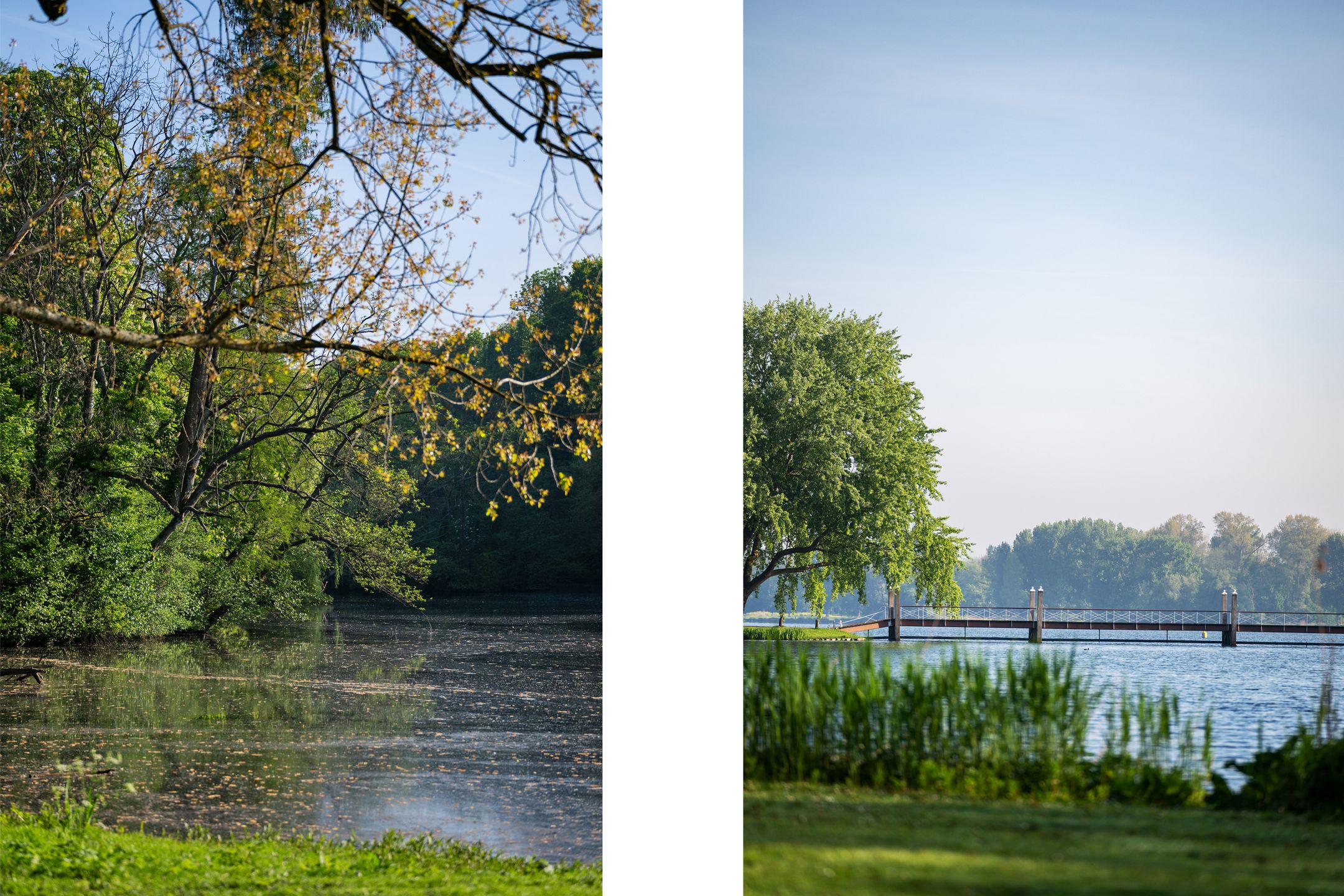 Foto 33 van Emiliahof 19