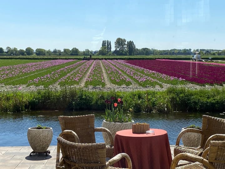 Foto 5 van Wilhelminalaan 29