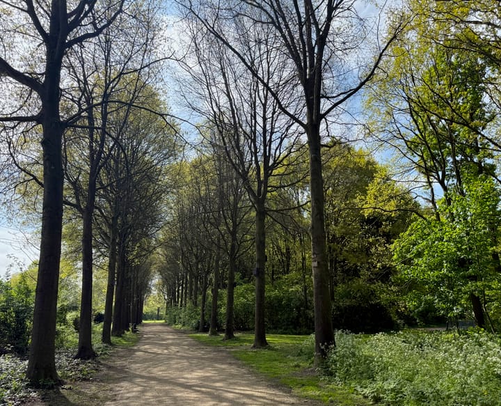 Foto 50 van Zwanenkamp 1078