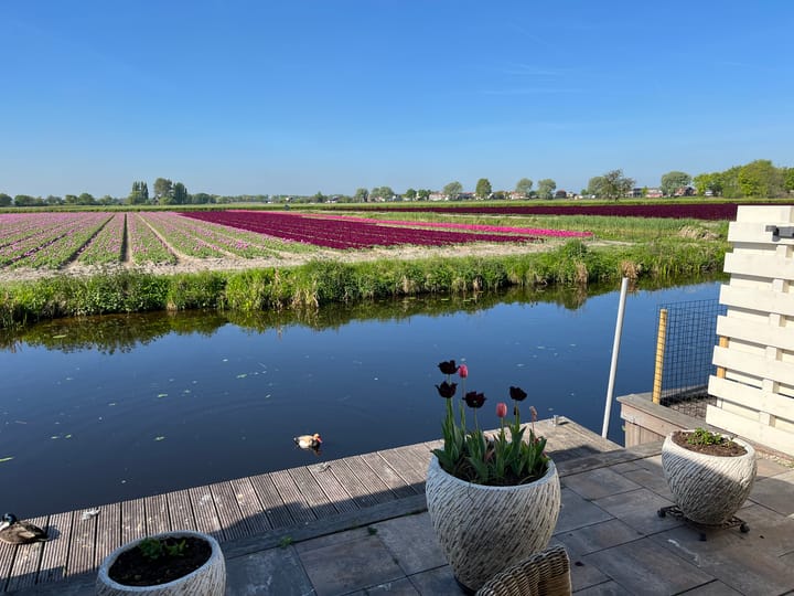 Foto 28 van Wilhelminalaan 29