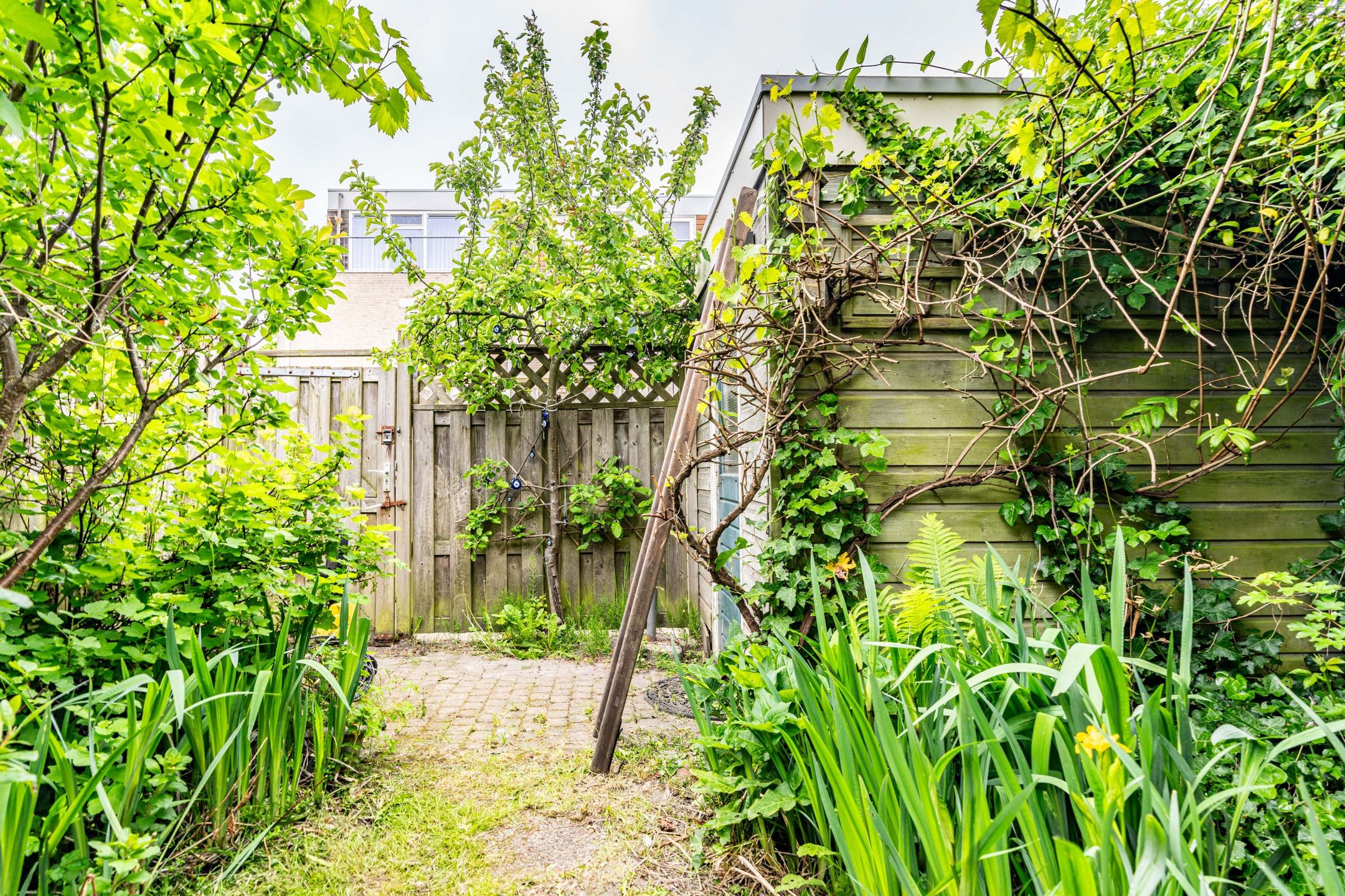 Foto 12 van Glenn Millerstraat 33