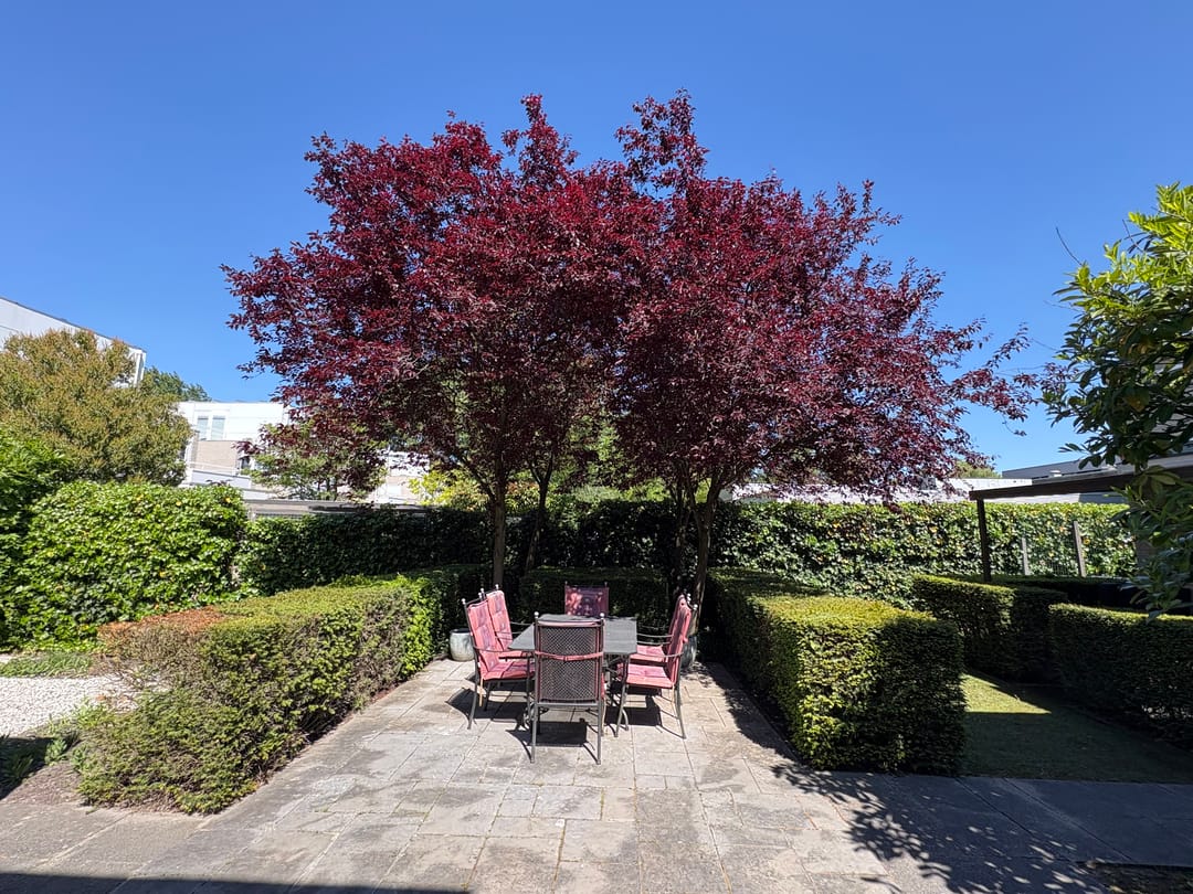 Foto 28 van Kastanjedal 6