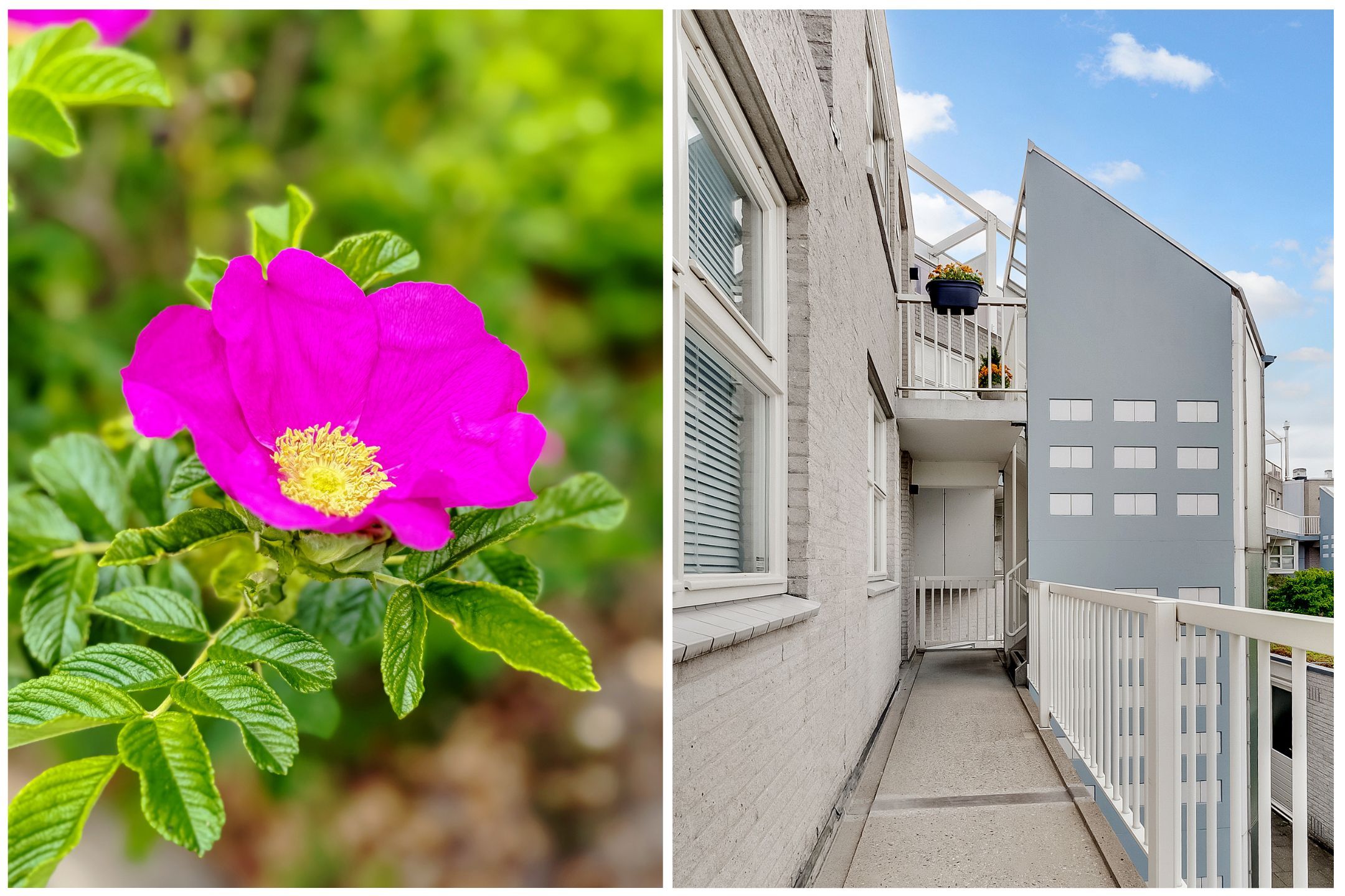 Foto 3 van Anna Maria van Schuurmanlaan 25