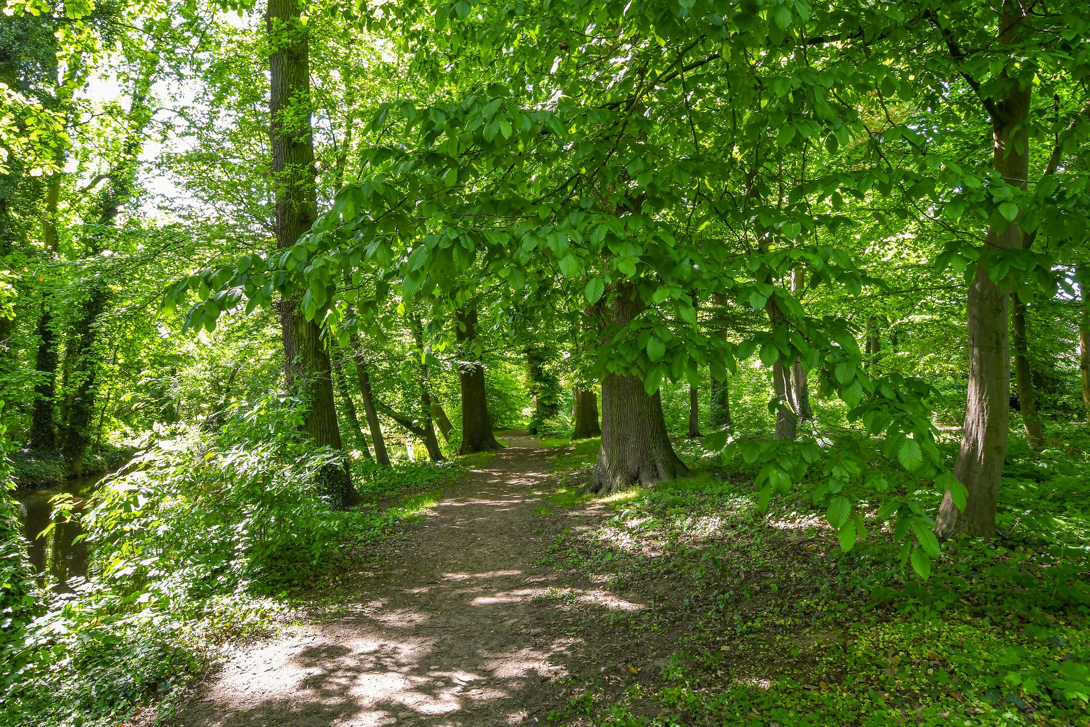 Foto 27 van de Keverbergstraat 34