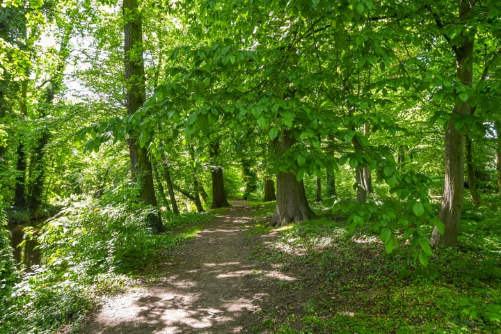 Foto 27 van de Keverbergstraat 34