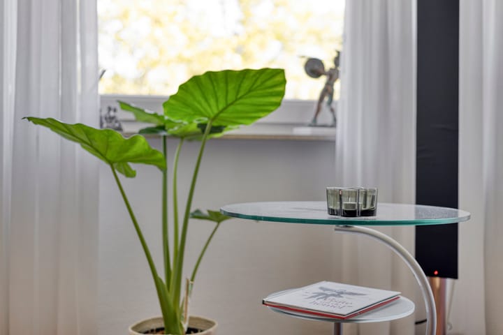 Foto 16 van Kuipersdijk 20-54