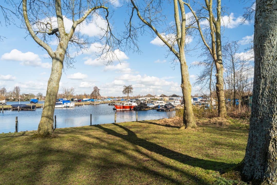 Foto 31 van Willem van Hillegaersbergstraat 100-D