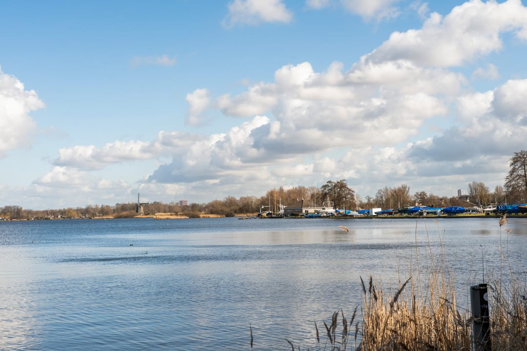 Foto 32 van Willem van Hillegaersbergstraat 100-D