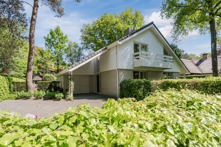 Foto 1 van Atalanta 58