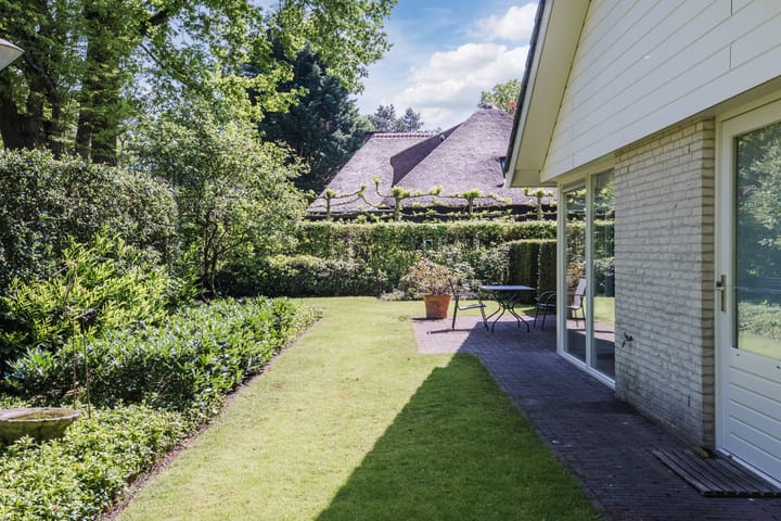 Foto 18 van Atalanta 58