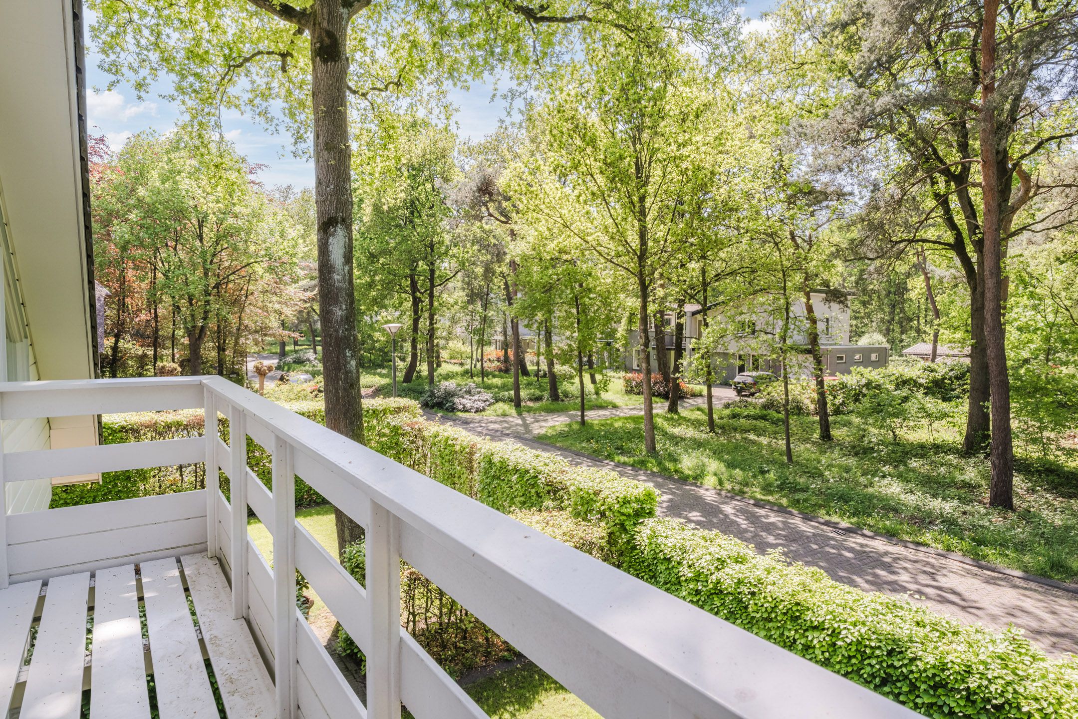 Foto 27 van Atalanta 58