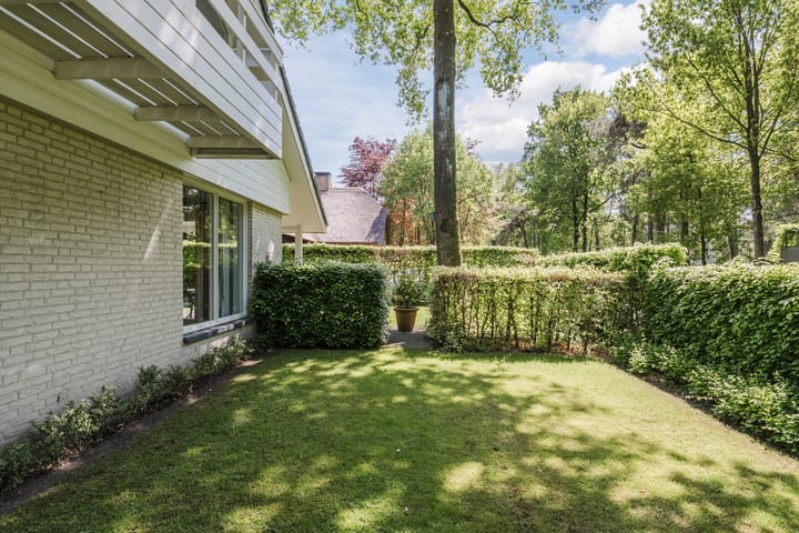 Foto 35 van Atalanta 58