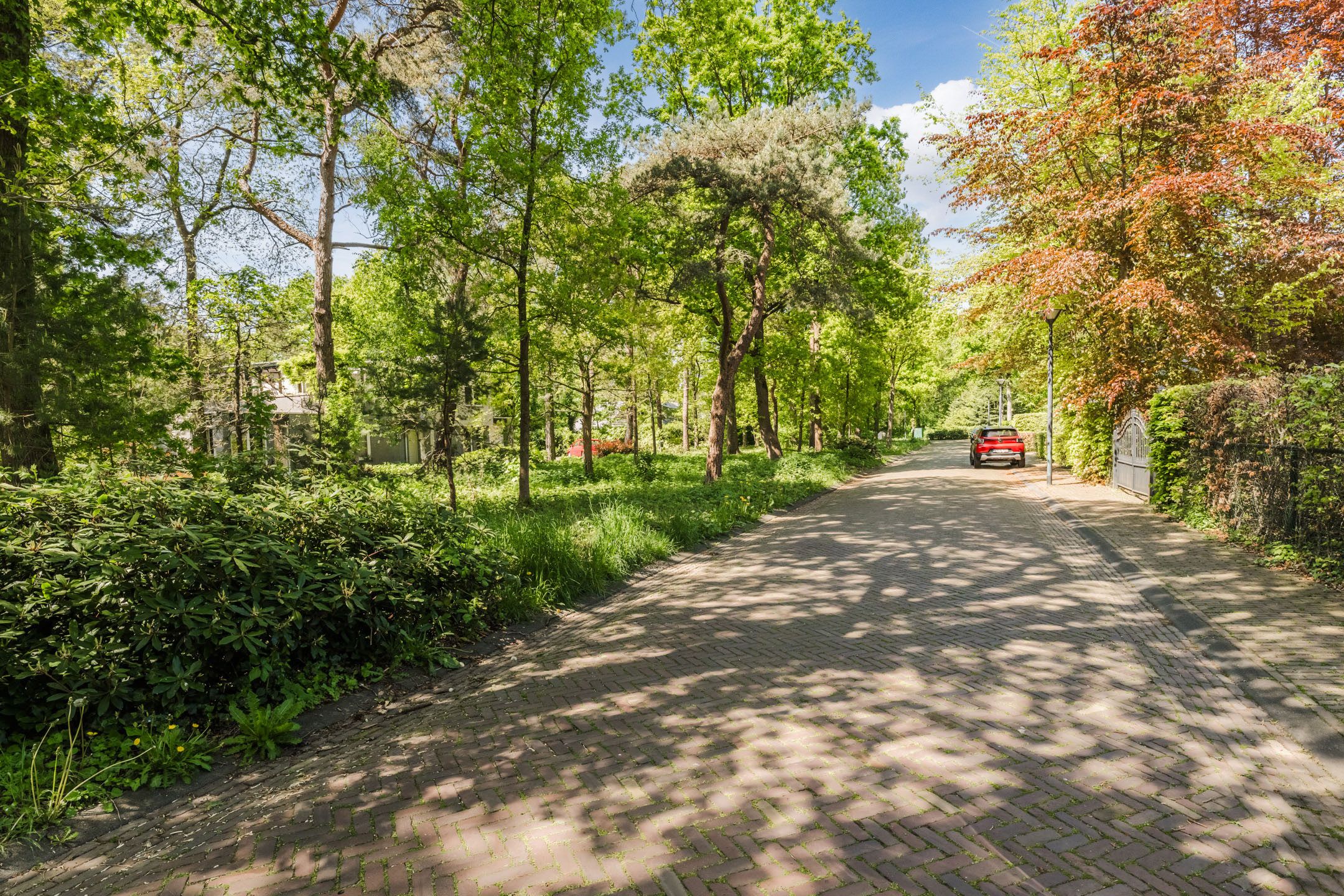 Foto 36 van Atalanta 58