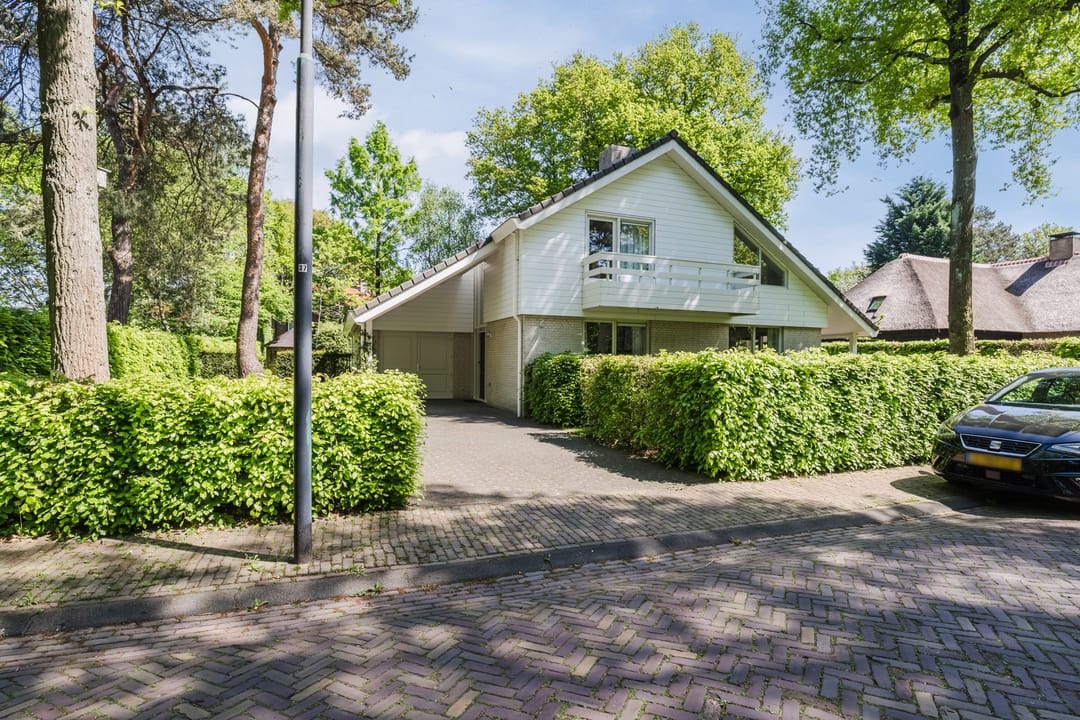 Foto 37 van Atalanta 58