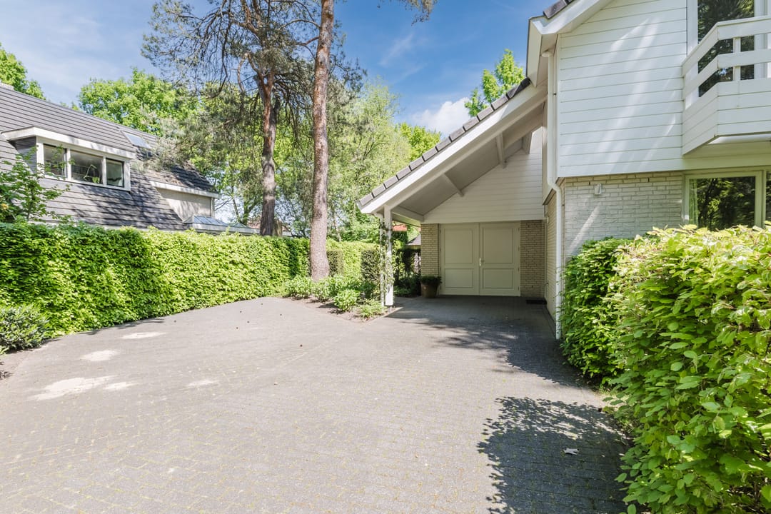 Foto 38 van Atalanta 58